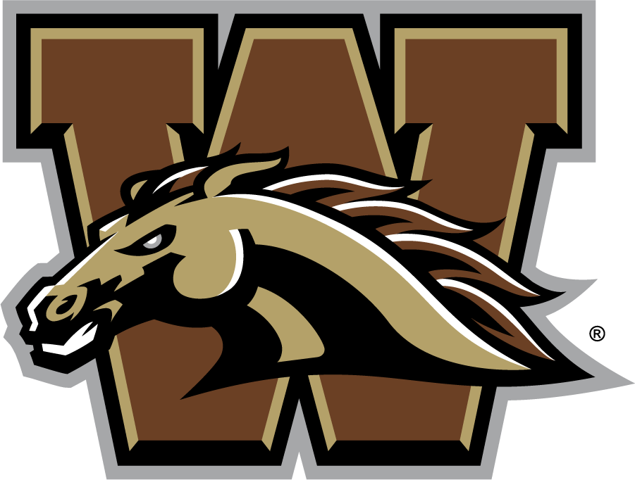 Western Michigan Broncos 2016-2021 Primary Logo DIY iron on transfer (heat transfer)